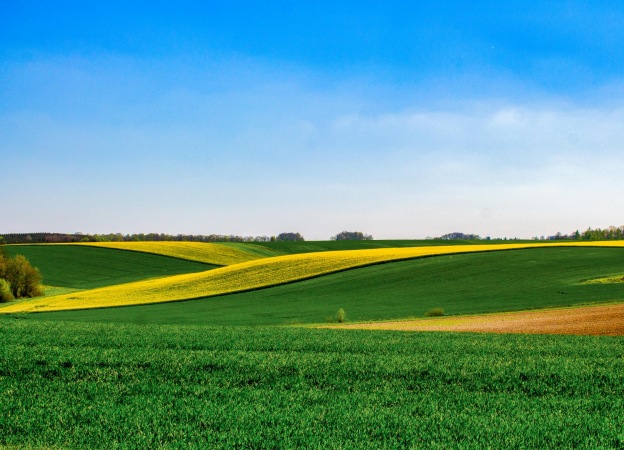 How Can Telehandler Attachments Help in the Agriculture Sector?