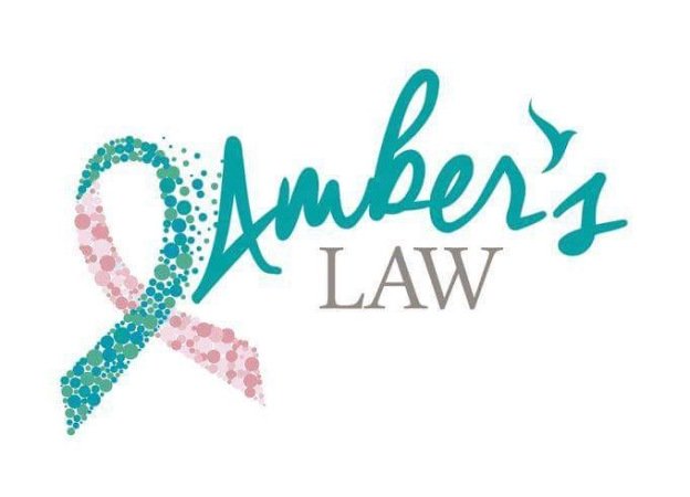 Ambers Law