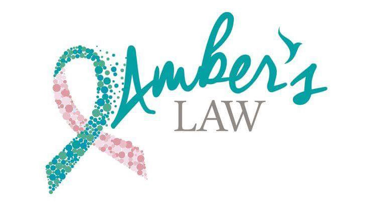 Ambers Law Charity Logo